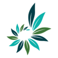 Current business logo